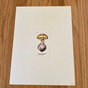 Vintage Mushroom Litho